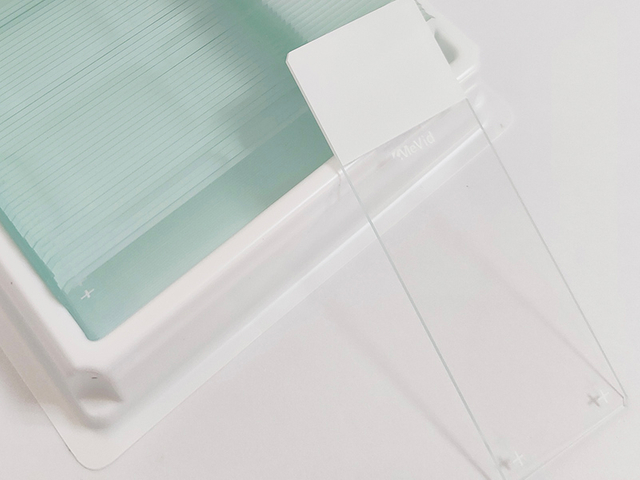 Slaid Mikroskop HE+ Kod Warna