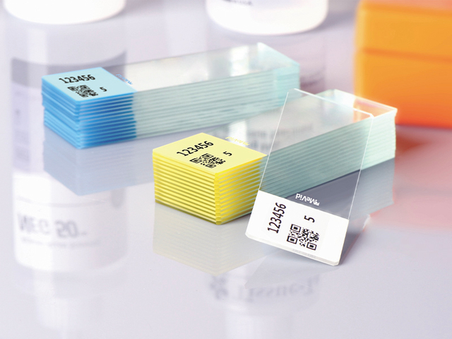 ColorCode 현미경 슬라이드