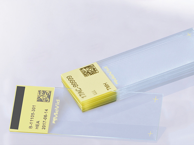 Slaid Mikroskop HE+ Kod Warna